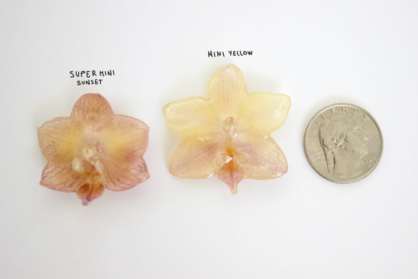 Yellow Super mini Orchid Studs