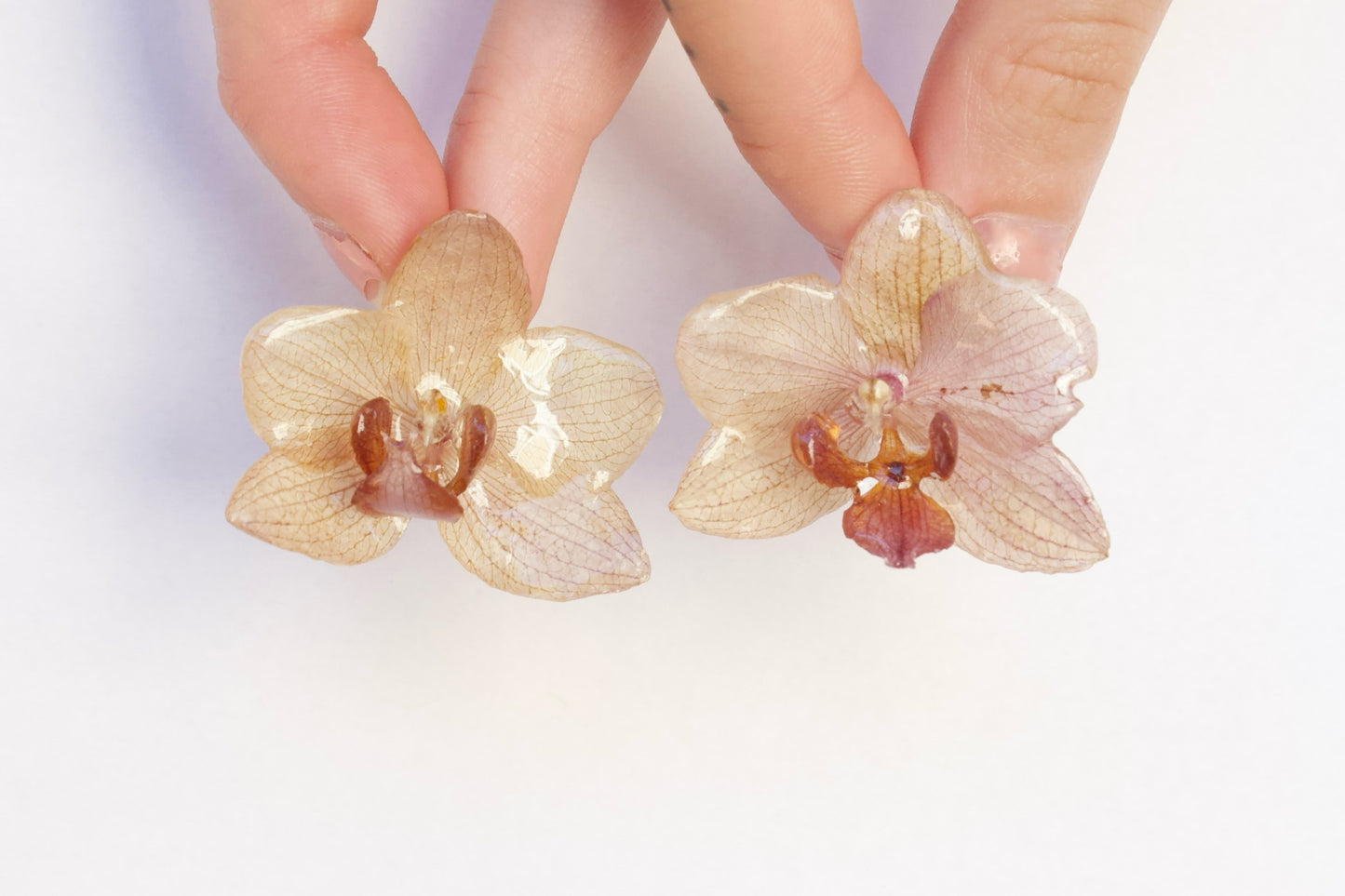 Muted Purple Small Orchid Studs