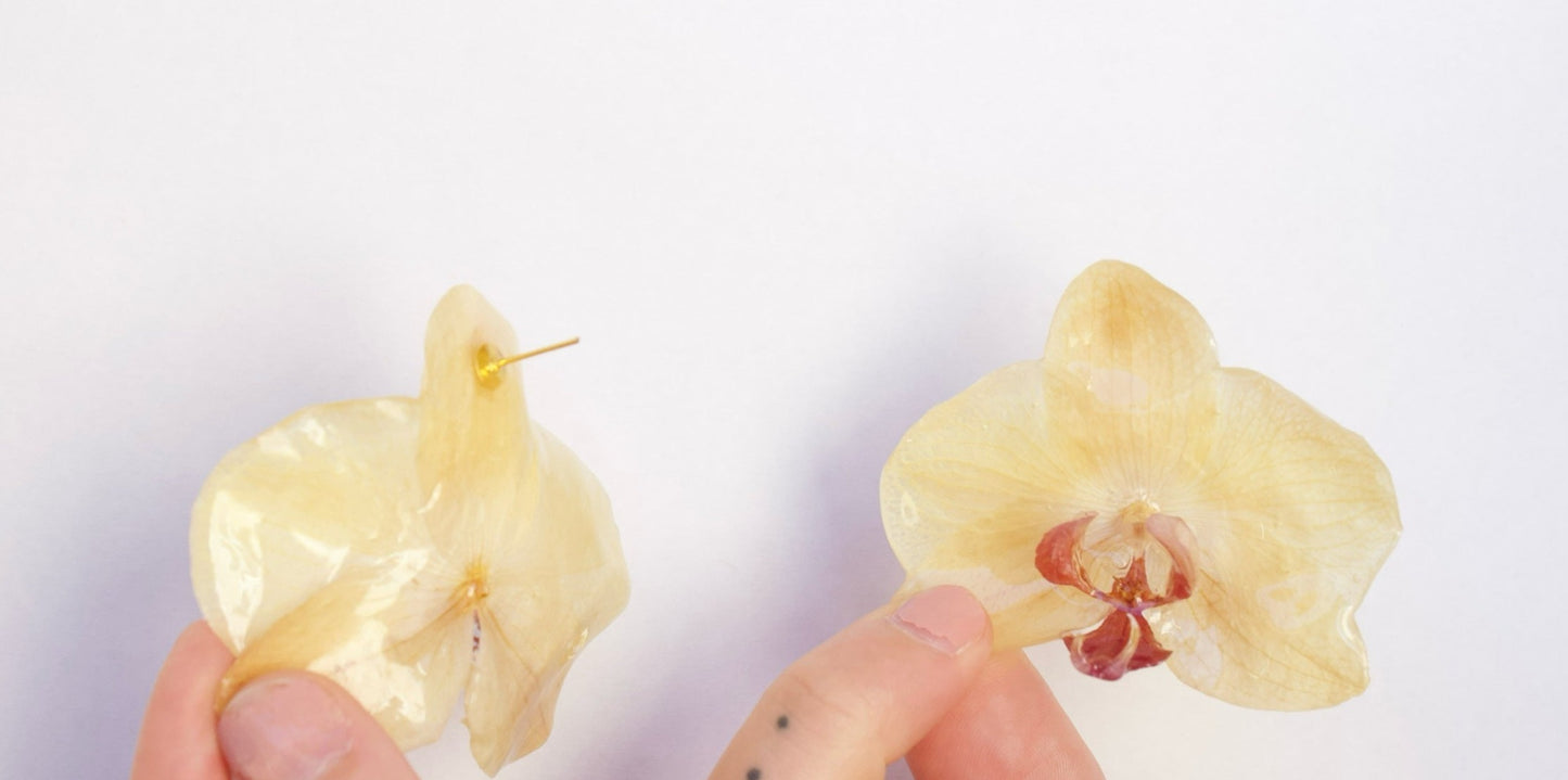 Yellow Large Orchid Studs
