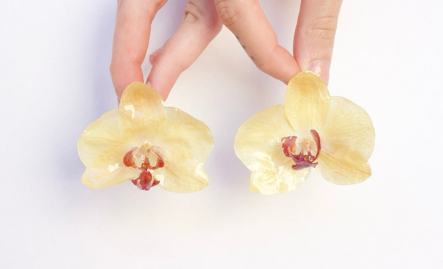 Yellow Large Orchid Studs