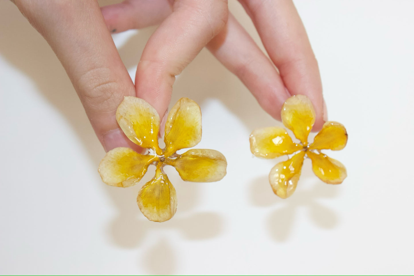 Small Yellow Plumeria Studs