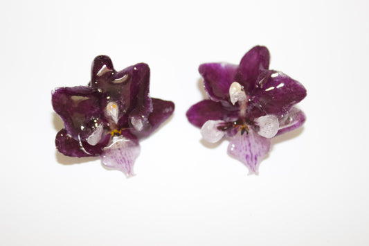Dark Purple Super Mini Orchid Studs